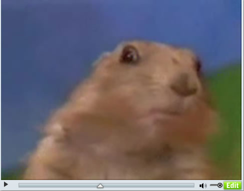 Dramatic Hamster: You talkinâ€™ to me?